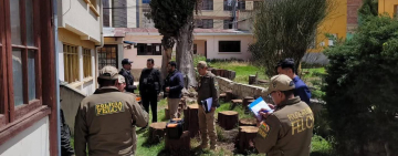 Fiscalía y Policía intervienen Hogar de Acogida y aprehenden e cuidadora por maltrato