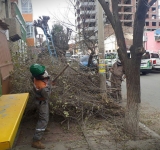 Poda de áreas verdes brinda seguridad a la población 