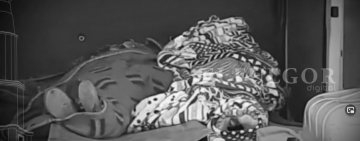 Hombre mata a toda su familia y luego se suicida