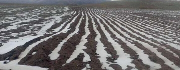 Varios Municipios solicitan declaratoria de emergencia por desastres naturales 