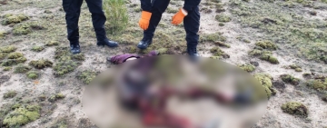 Encuentran el cadáver de un joven devorado  por canes, se desconoce la causa de su muerte