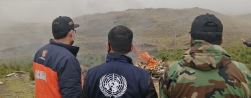 UNODC capacita sobre pérdida de dominio de bienes vinculados al narcotráfico a jueces y fiscales