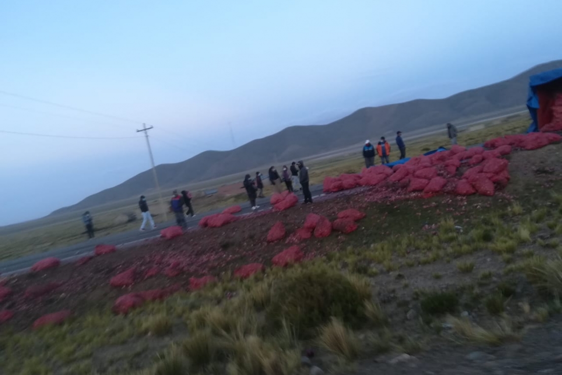 Vuelco de camión con verduras interrumpe por varios minutos el tránsito vehicular 
