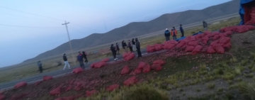 Vuelco de camión con verduras interrumpe por varios minutos el tránsito vehicular 