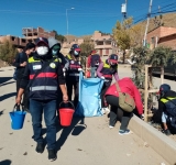 Reportan 90% de prendimiento de plantines en el sector de Chiripujio