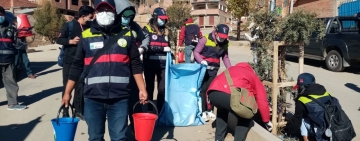 Reportan 90% de prendimiento de plantines en el sector de Chiripujio