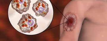 Viceministra de Comunicación asegura que distribución inmediata de nuevas vacunas continuará proceso de inmunización
