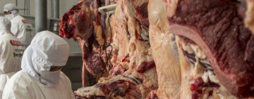 IBCE: A marzo, las exportaciones no tradicionales superaron a las ventas de gas natural