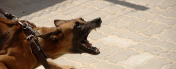 Salud inicia la campaña de vacunación más grande de la historia de Bolivia