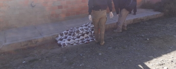 Asciende a 47 los feminicidios y 11 infanticidios en Bolivia