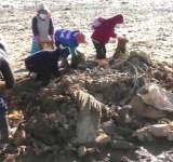 Entusiasmo de limpiar el lago Uru Uru duró poco