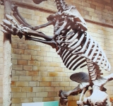 Dinosaurios en Uyuni