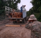 Navales decomisan 3.645 pies de madera “cedro” en el Río Beni