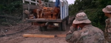 Navales decomisan 3.645 pies de madera “cedro” en el Río Beni