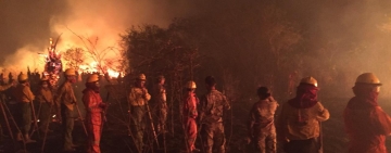 Marinos controlan incendio en “Otuquis” junto voluntarios e instituciones