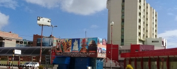 Detienen a 24 extranjeros que  ingresaron ilegalmente Oruro 