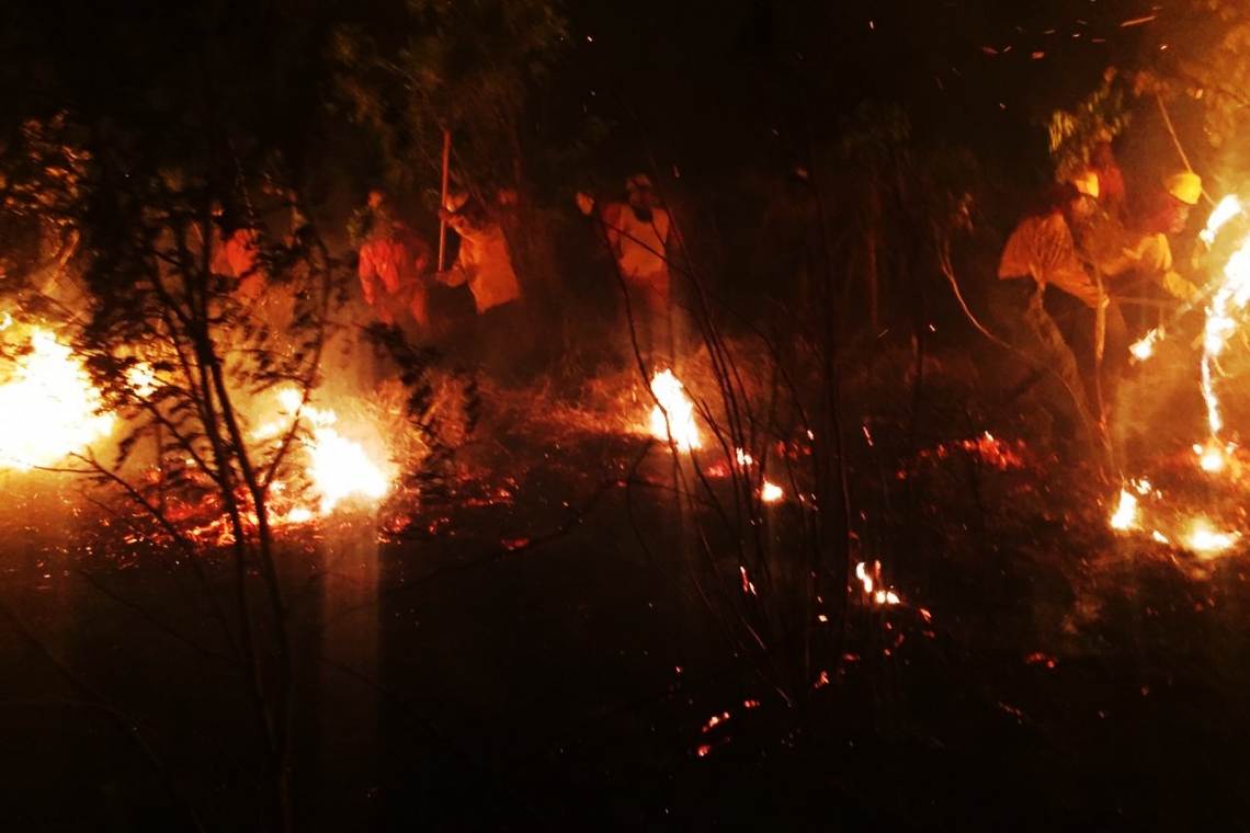 FFAA presenta plan para intervenir incendios por aire, tierra y áreas navegables