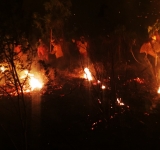 FFAA presenta plan para intervenir incendios por aire, tierra y áreas navegables