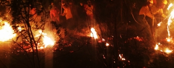 FFAA presenta plan para intervenir incendios por aire, tierra y áreas navegables