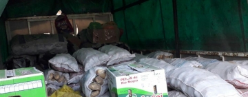 Proyectan plan para evitar pérdidas en producción agrícola por el contrabando