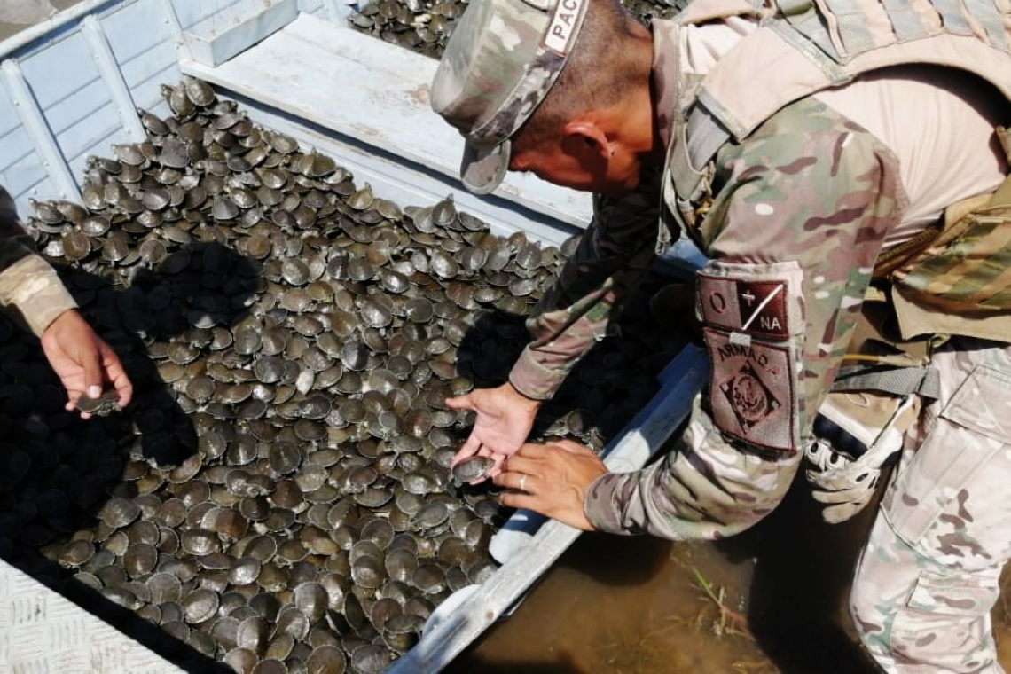 Navales controlan y protegen la biodiversidad en los espacios acuáticos