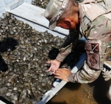 Navales controlan y protegen la biodiversidad en los espacios acuáticos