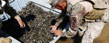 Navales controlan y protegen la biodiversidad en los espacios acuáticos