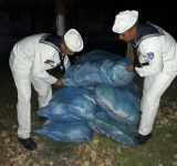 Gobierno sube aranceles y crea comando contra el contrabando de alimentos