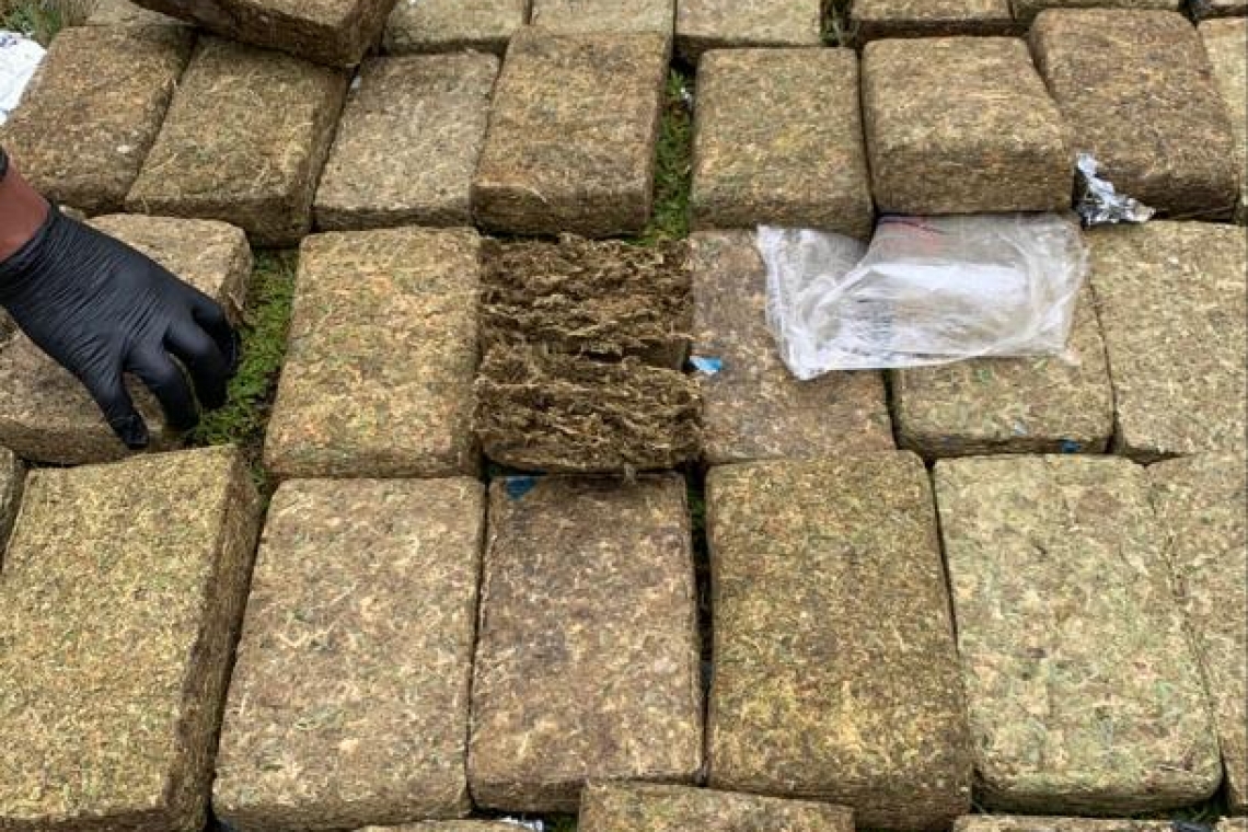 FELCN incauta 9,5 tn de cocaína y aprehende a 1.600 implicados con el narcotráfico