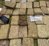 FELCN incauta 9,5 tn de cocaína y aprehende a 1.600 implicados con el narcotráfico