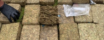 FELCN incauta 9,5 tn de cocaína y aprehende a 1.600 implicados con el narcotráfico