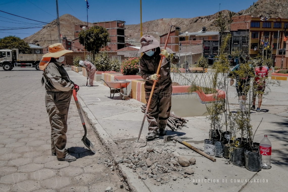 Coordinan actividades de forestación y limpieza en la ciudad