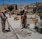 Coordinan actividades de forestación y limpieza en la ciudad