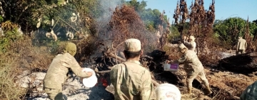 Marinos controlan incendio forestal en frontera con Brasil, en el norte de Pando