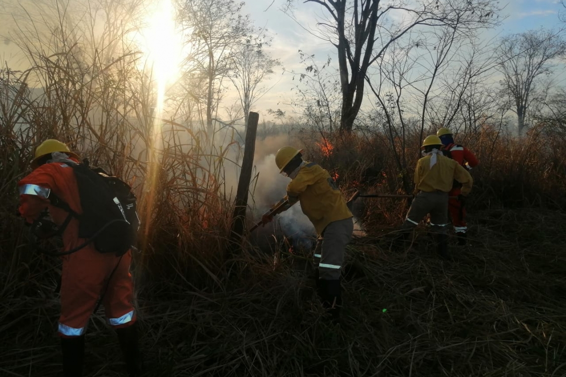 La reacción oportuna permite sofocar incendio en Puerto Quijarro