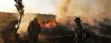 Navales extinguen el incendio forestal en Puerto Ballivian, en Beni