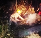 Navales del “Bruno Racua” contienen incendio forestal en Porvenir, Pando