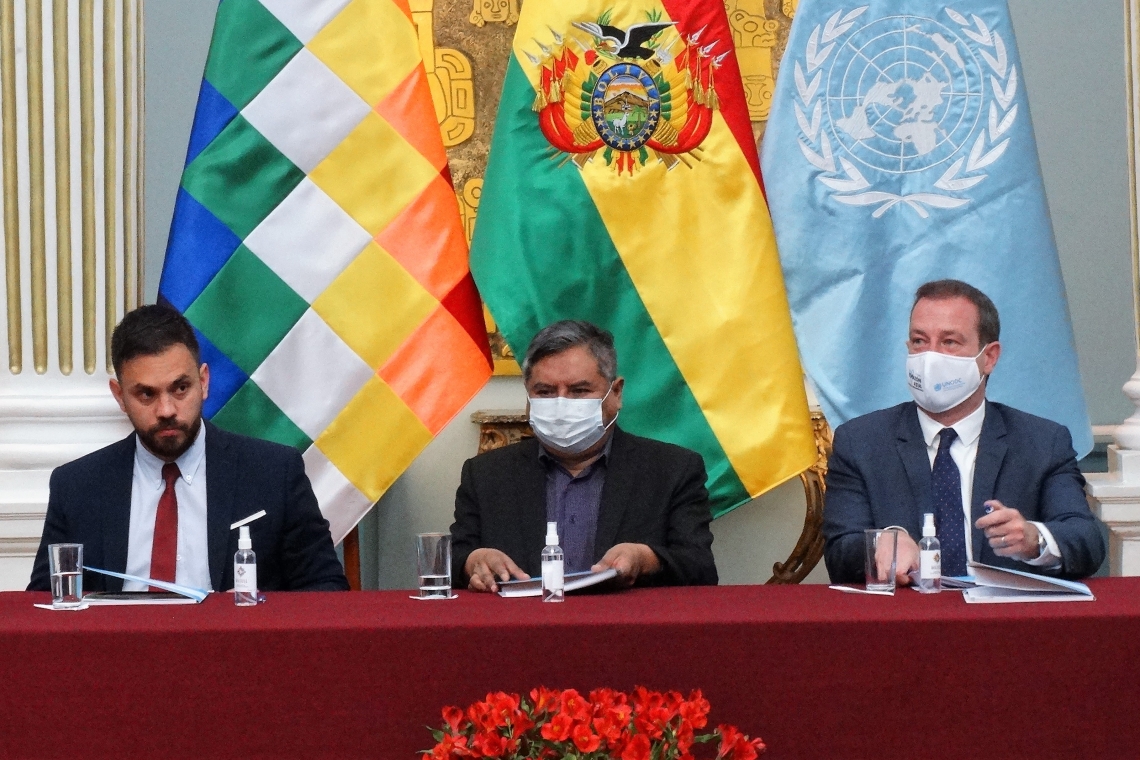 Monitoreo de cocales establece un crecimiento del 15% en régimen de Añez