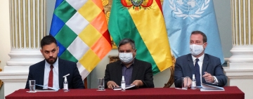 Monitoreo de cocales establece un crecimiento del 15% en régimen de Añez