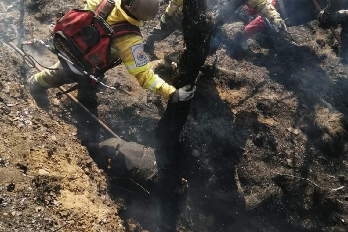 Defensa expresa condolencia a familia de brigadista en incendio de Sacaba