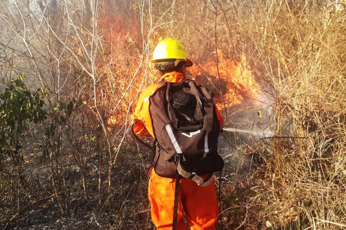 Marinos controlan incendio y evitan llegue a unidad educativa en Puerto Quijarro