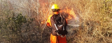 Marinos controlan incendio y evitan llegue a unidad educativa en Puerto Quijarro