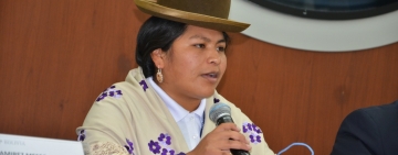 En la recta final ruta que modificará la Ley 348 para mujeres libre de violencia