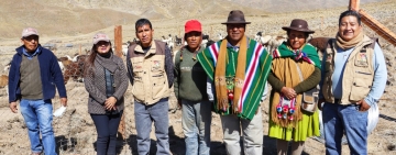 Pro Camélidos inicia la construcción de corrales móviles en Corque