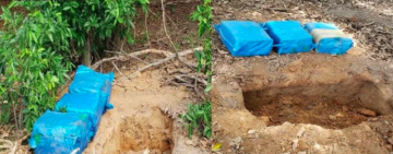 FELCN afecta al narcotráfico con $us 2.863.225 y halla pista en Beni en coordinación con DINANDRO del Perú