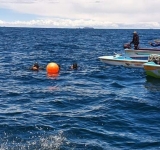Buzos de la Armada aún buscan al pescador desaparecido en el lago Titicaca