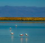 ¿Adiós al pulmón de Oruro?