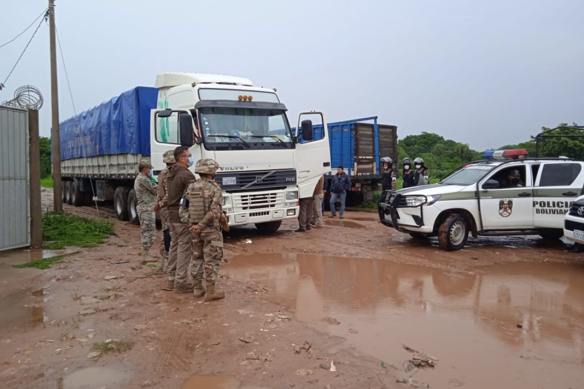 Comisan 150 toneladas de maíz transgénico procedente de Argentina