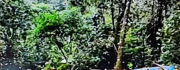 Policía reporta 16 muertes y centenar de heridos en accidentes de tránsito