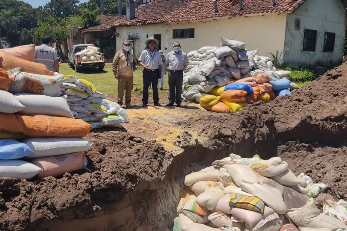 Militares destruyen más de 150 toneladas de maíz y semillas de contrabando